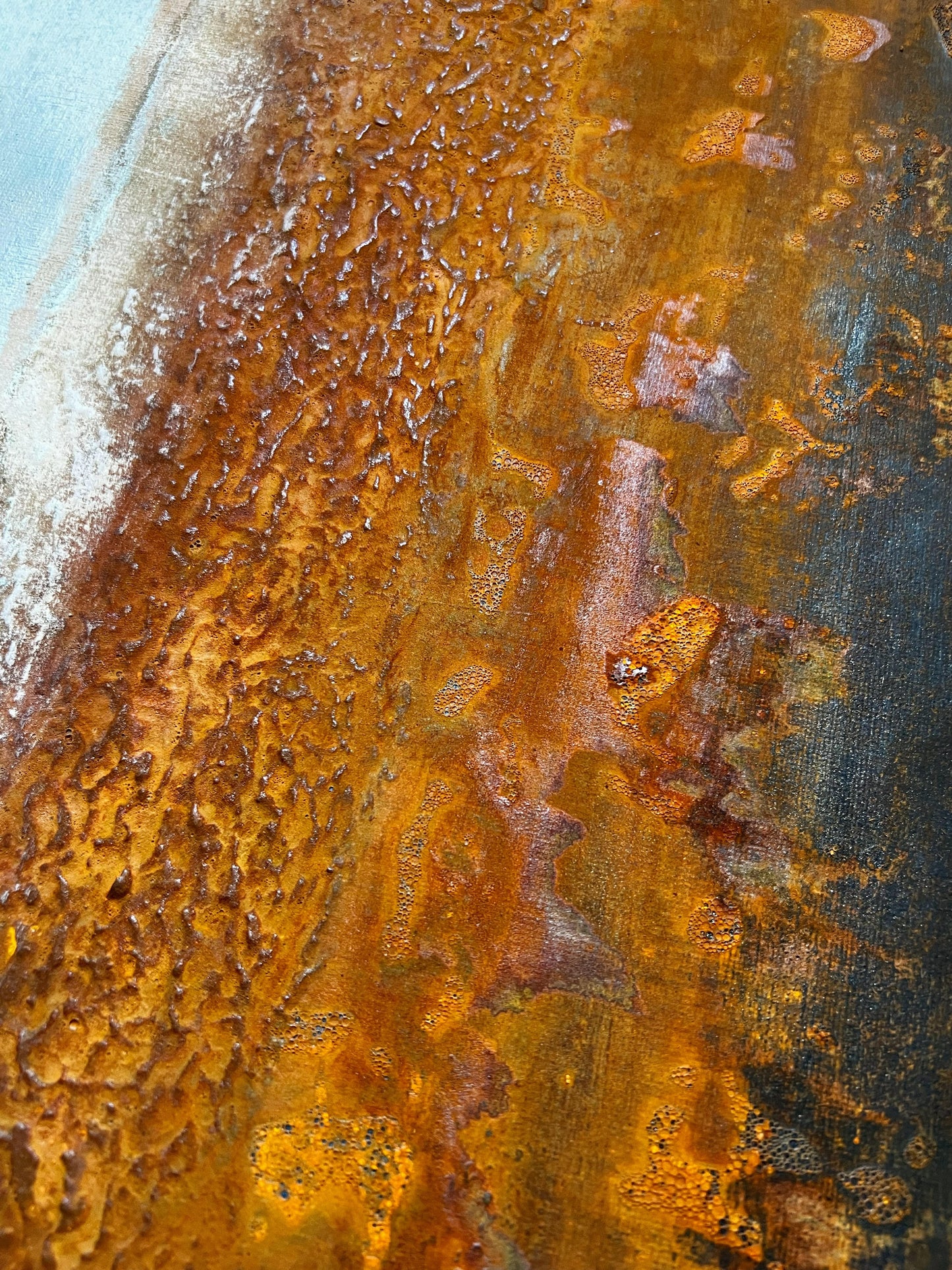 Remnants of Beauty