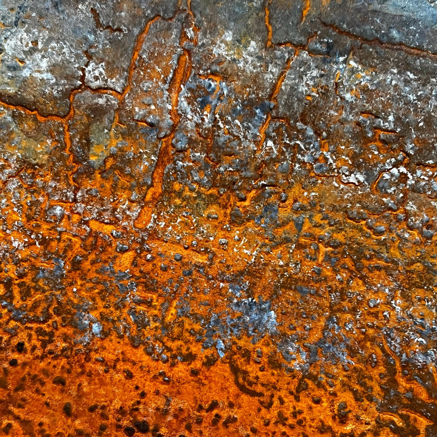Caminos de Color