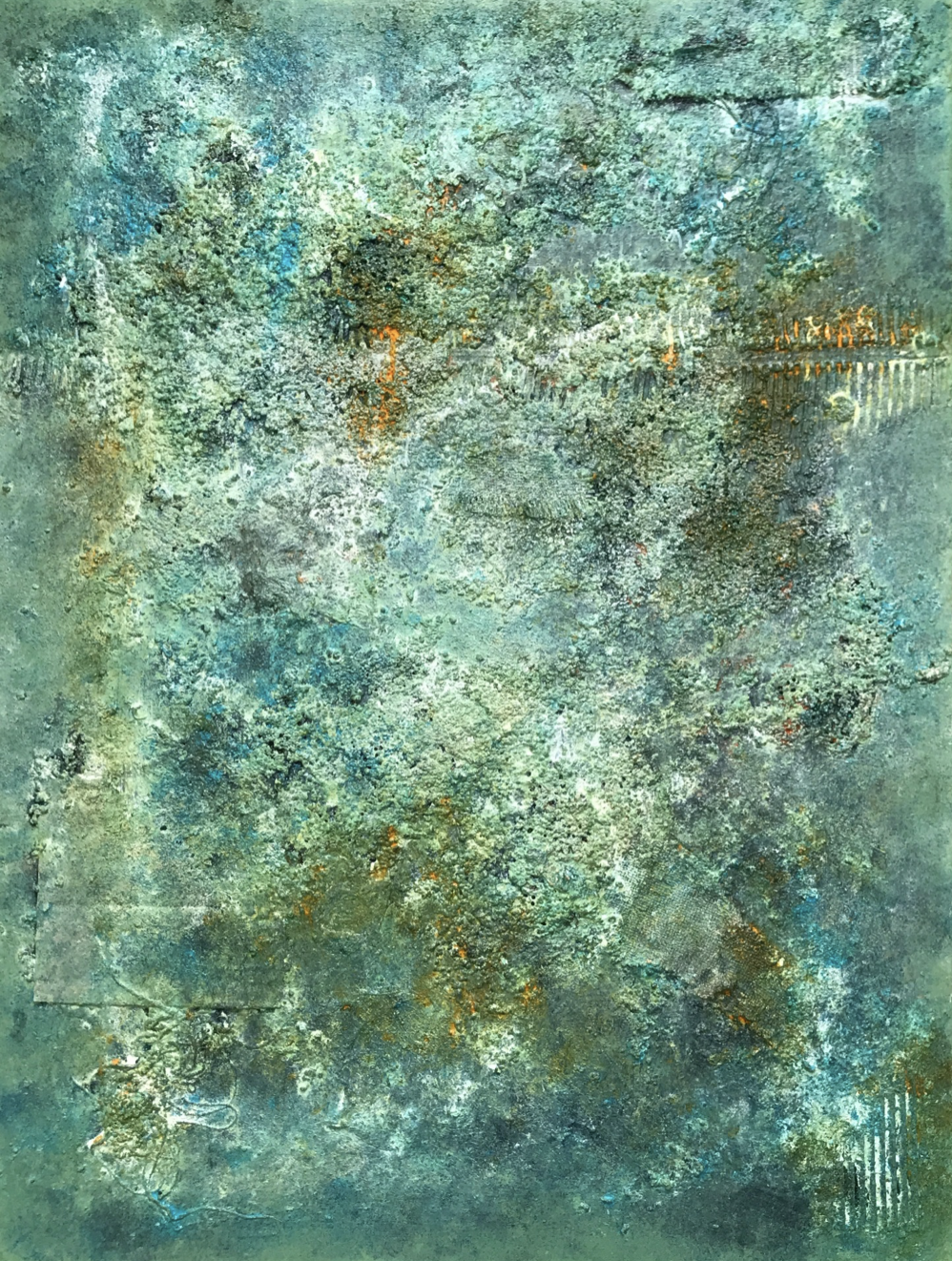 Muro Vegetal